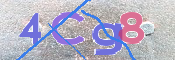 キャプチャ画像