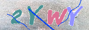 キャプチャ画像