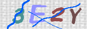 キャプチャ画像