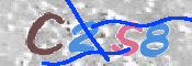 キャプチャ画像