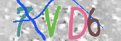 キャプチャ画像