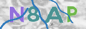 キャプチャ画像