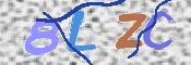キャプチャ画像