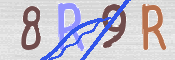 キャプチャ画像