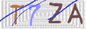 キャプチャ画像
