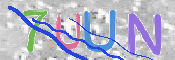 キャプチャ画像