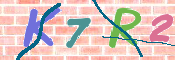 キャプチャ画像
