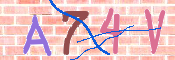 キャプチャ画像