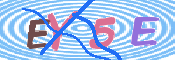 キャプチャ画像