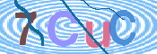 キャプチャ画像
