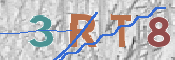 キャプチャ画像