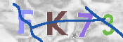 キャプチャ画像