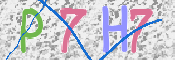 キャプチャ画像