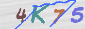 キャプチャ画像