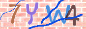 キャプチャ画像
