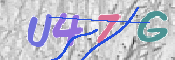 キャプチャ画像