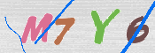 キャプチャ画像
