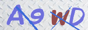 キャプチャ画像
