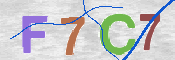 キャプチャ画像