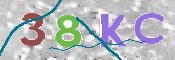 キャプチャ画像