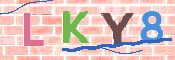 キャプチャ画像