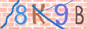 キャプチャ画像