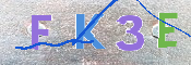 キャプチャ画像
