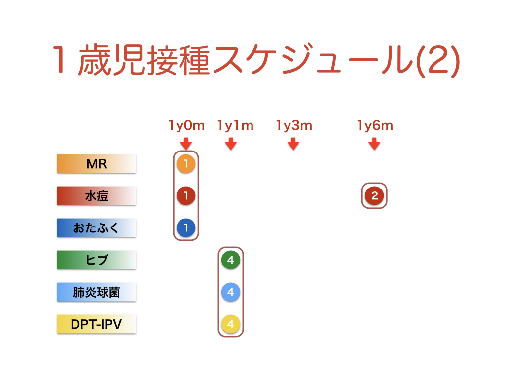 予防 接種 スケジュール