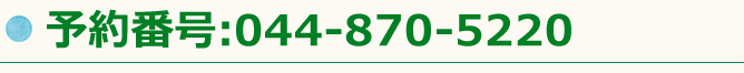 予約番号：044-870-5220